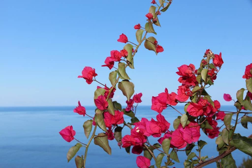 Appartamento Apartamento MAR AZUL Calheta  Esterno foto