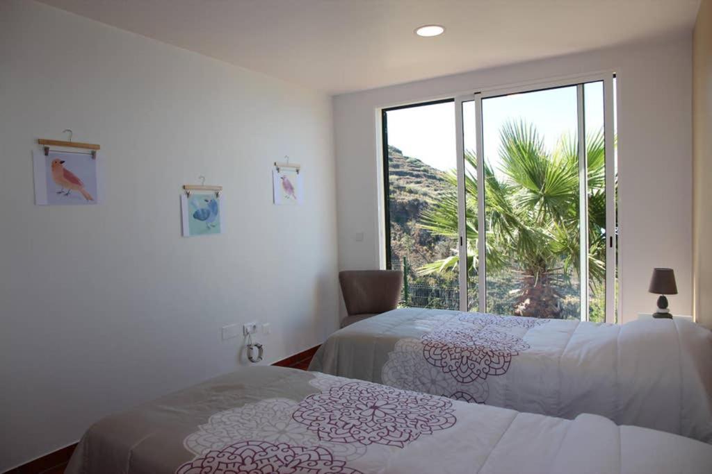 Appartamento Apartamento MAR AZUL Calheta  Esterno foto